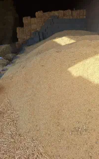 کارگر