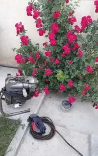 لوله بازکنی اکباتان کوی بیمه شهرک ازادی المپیک