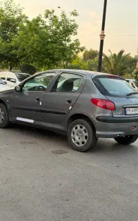۲۰۶تیپ دو دور رنگ