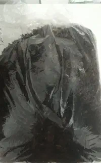 چای