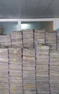 روزنامه باطله