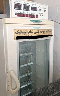 دستگاه جوجه کشی