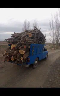 خرید انواع چوب . درخت. قطع و برش کاری