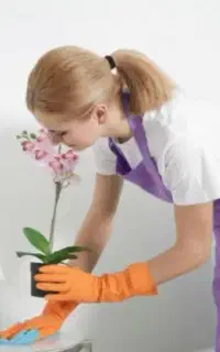 استخدام جهت نظافت منزل