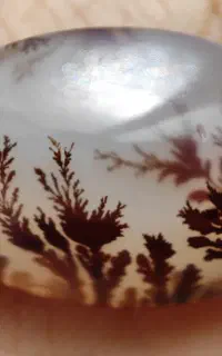 ارزانسرای حمید