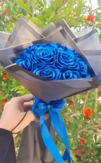 گل رز روبانی
