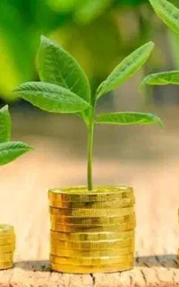 فضای مجازی درآمد از گوشی