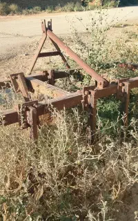 چیزل هفت شاخه ای (پنجه‌قازی‌)