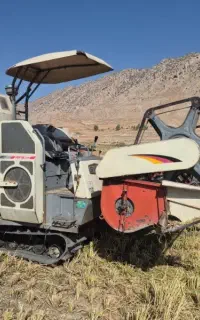 فروش‌ودرو‌گربرنج