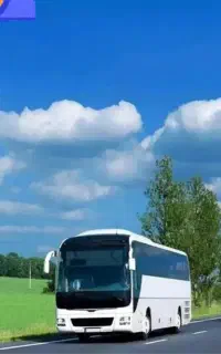 تور وان ترکیه                       گروهی و زمینی