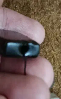 مهره‌پادزهراصل‌‌فوقه‌‌کهنه