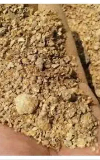 سویا ارژانتین