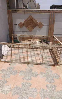 اتاق مزدا وانت تک کابین