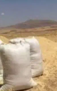 کاه کوب کاه جو