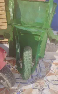 فرغون صحیح وسالم