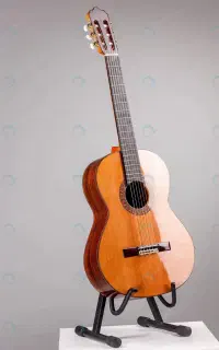 آموزش گیتار سلفژ