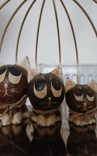 سه عدد گربه