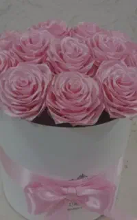 گل روبانی