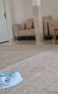 روفرشی