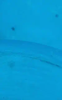فروش سیم کارت داعم ۹۱۴۳۵۷۹۸۳۲
