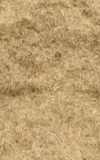 کاه گندم