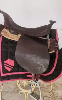 دوتا زین اسب برنو
