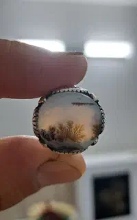 انگشتر شجر منظره،شفاف،کیفیت عالی