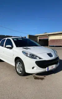۲۰۷ سفید رینگ دار بی رنگ خانگی
