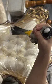 گمشده / گم شده