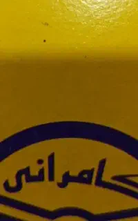 منشی خانم