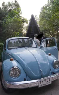 تشریفات مجالس ازدواج آسان صفرتا صد