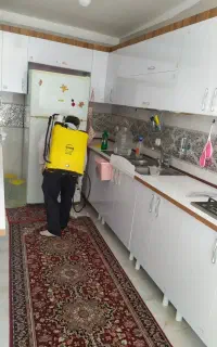 سمپاشی اماکن خانگی اداری بامجوز رسمی وزارت بهداشت