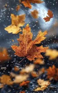 تدریس ادبیات فارسی و علوم و فنون ادبی