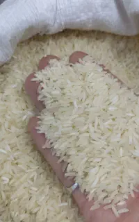 تعدادی برنج هندی دانه بلند ۱۱۲۱