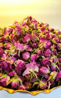 نازل ترین قیمت و درجه یک را از ما بخواهید