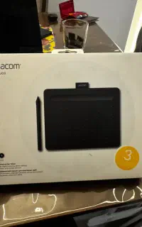 وکام اینتروس
