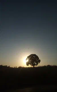 همسفر و همراه کاری خانم