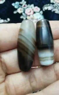 یک جفت مهره نرماده سلیمانی کهنه