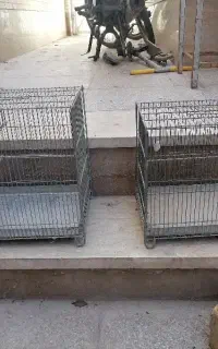۱۶ عدد قفس ارمان و ۳ عدد قفس جوجه پرون