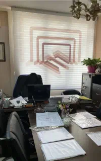 یک منشی خانم