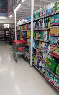 استخدام افق کوروش آقا و خانم