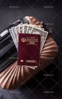 مدارک گم شده