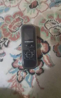 Voice record