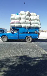 کاه لوبیاقرمز درجه یک