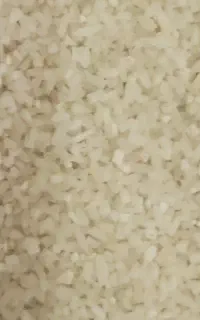 فروش