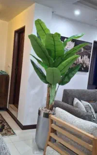 گلدان