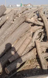 با سلام خرید انواع چوب