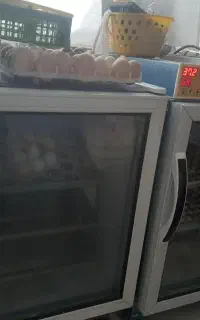 فروش ۲ دستگاه جوجه کشی در حد نو