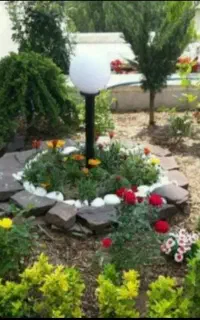 خدمات باغبانی باغچه کاری گل کاری درخت کاری کاشت گل