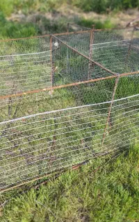 قفس پرندگان